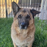 Obie