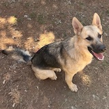 Skye